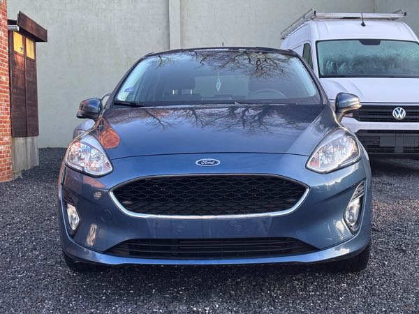 Ford Fiesta VI 1.0 ECOBOOST 100 5CV CONNECT BUSINESS NAV AUTO 5P