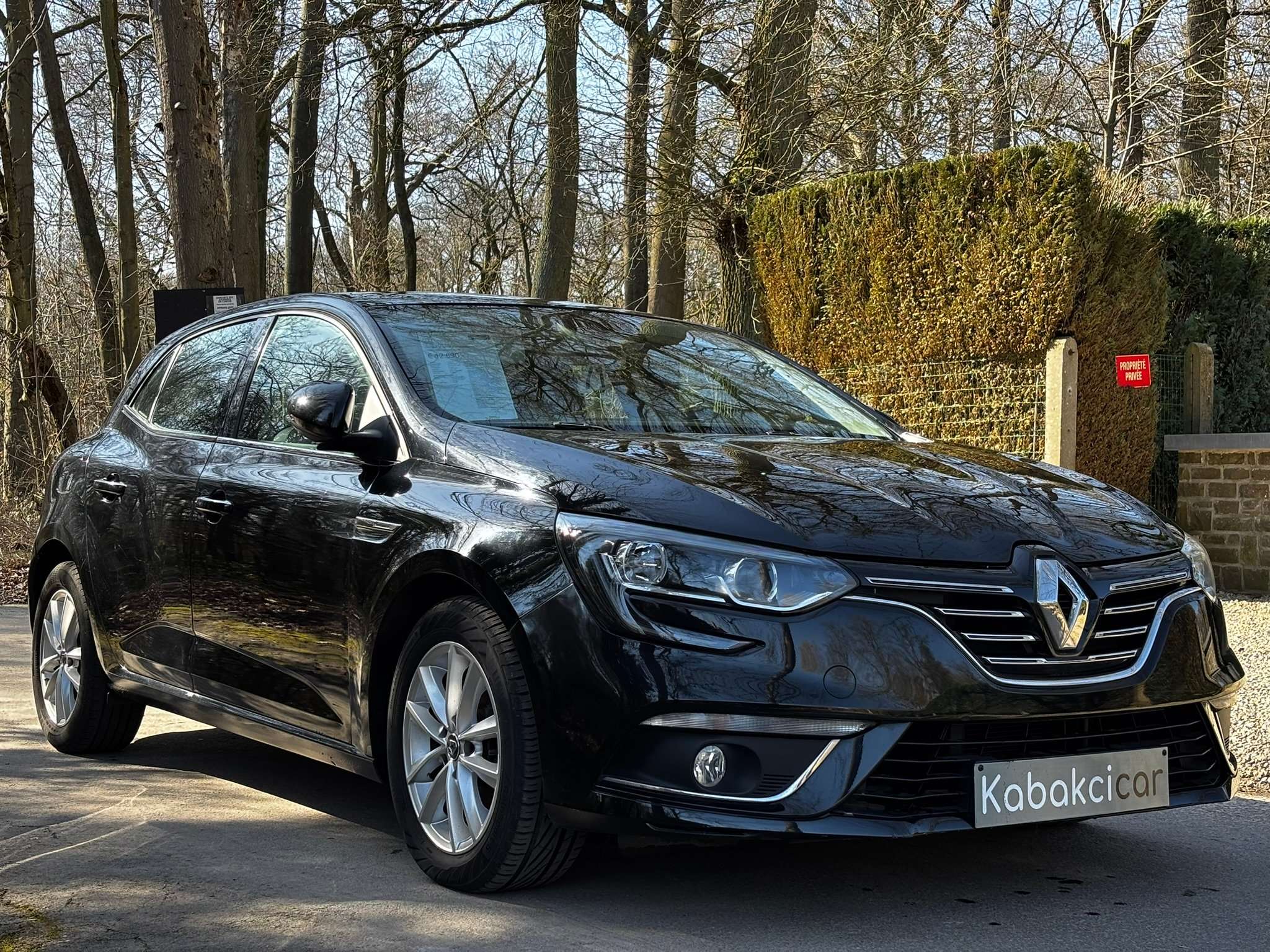 Renault Megane 1.2 TCe 101ch //GPS/USB//CLIM//GARANTIE 12 MOIS