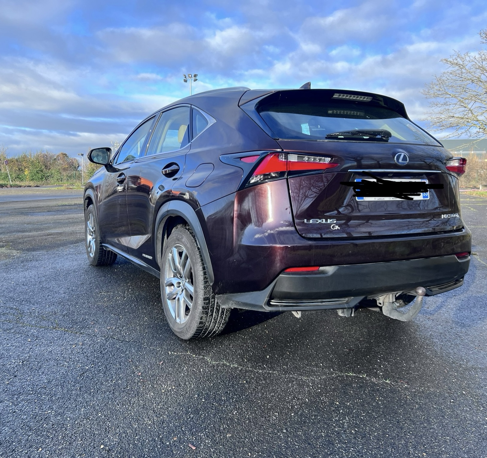 Lexus Nx Lexus nx300