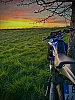 YAMAHA DTR thumbnail