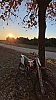 85sx 2016 thumbnail