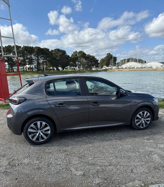 Peugeot 208 II 1.2 PURETECH 100 S&amp;S ACTIVE BUSINESS