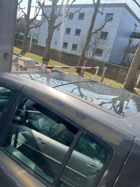 Renault Modus RENAUT MODUS