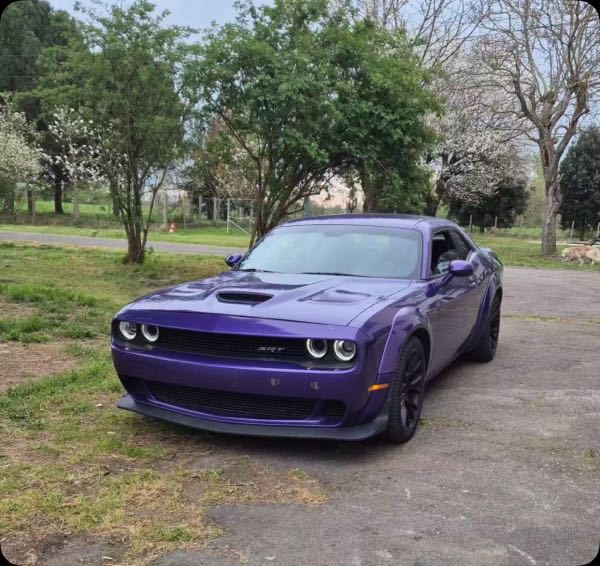 Dodge Challenger Dodge Challenger 6,4 Scatpack