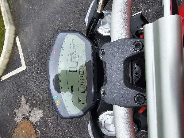 DUCATI MONSTER 821 R