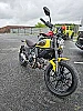 DUCATI SCRAMBLER thumbnail
