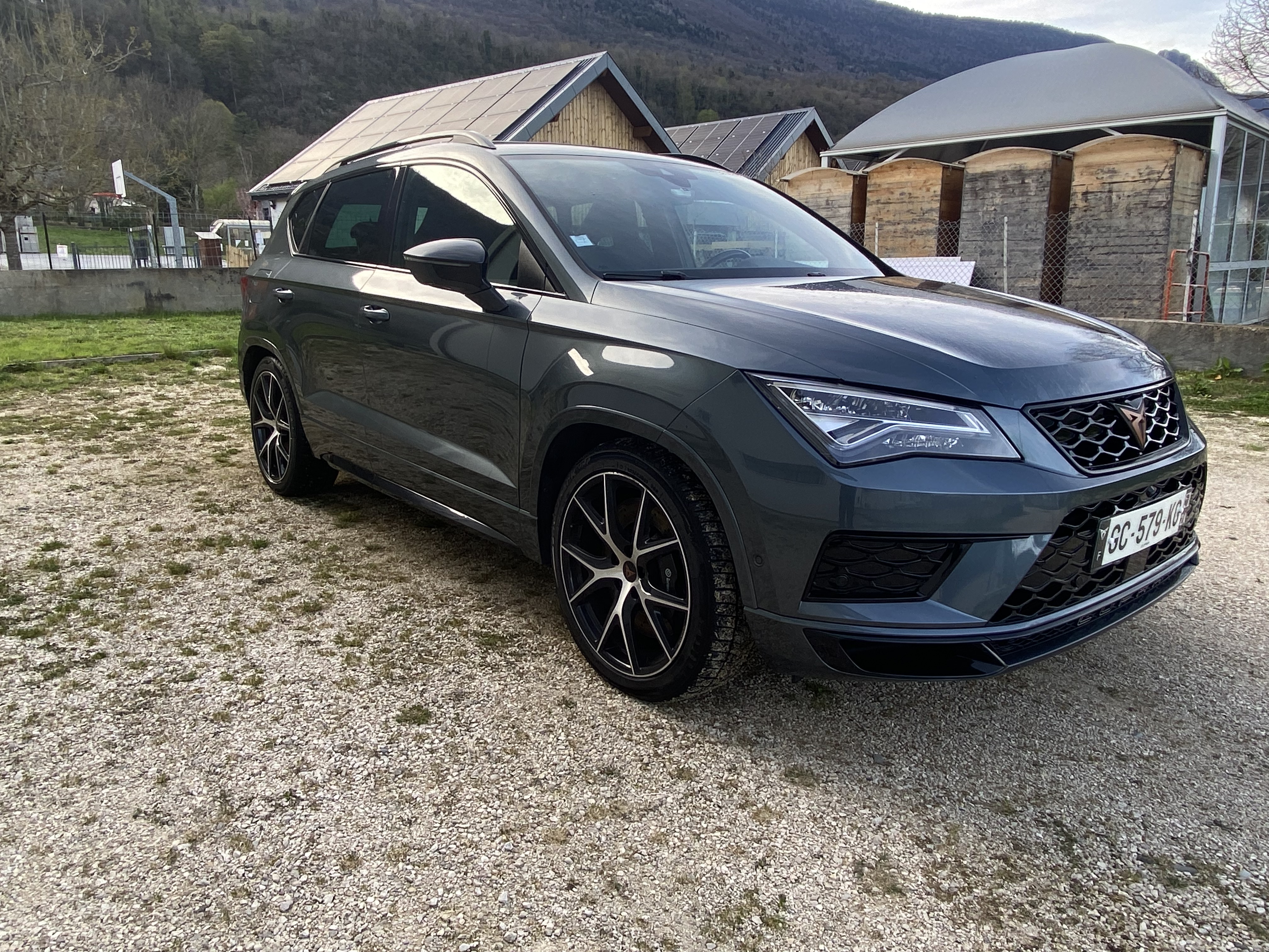 Cupra Ateca (2) 2.0 TSI 300 4DRIVE DSG7
