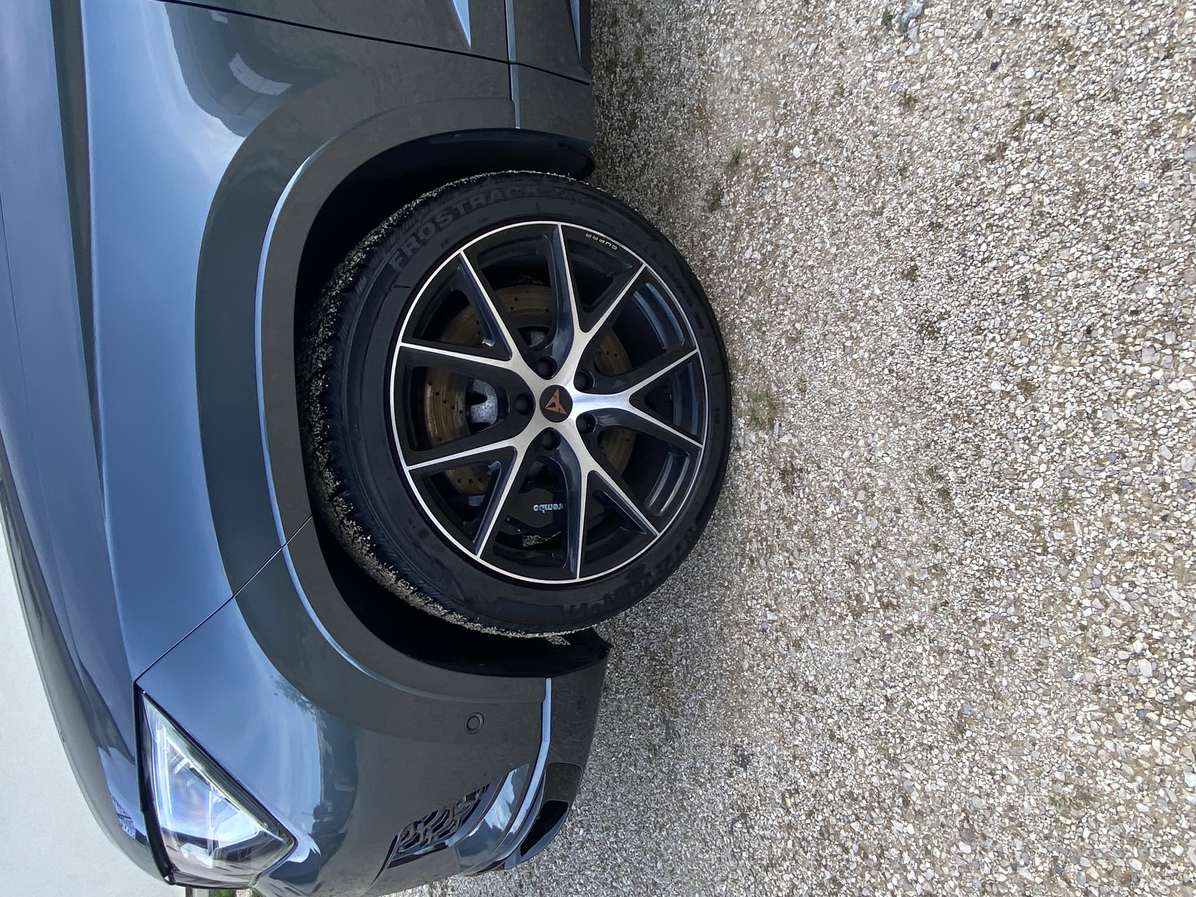 Cupra Ateca (2) 2.0 TSI 300 4DRIVE DSG7