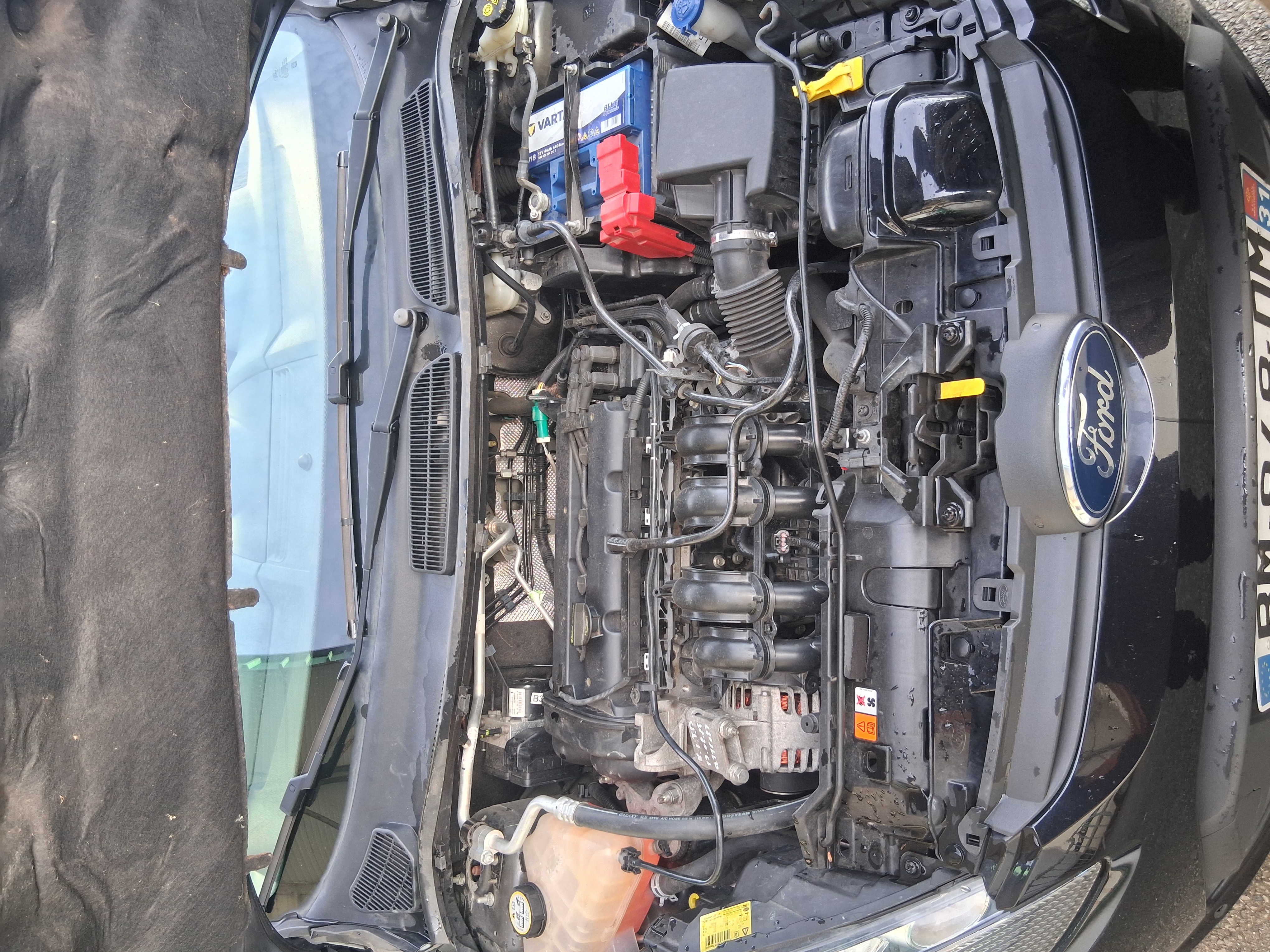 Ford Fiesta V (2) 1.25 82 TREND 5P