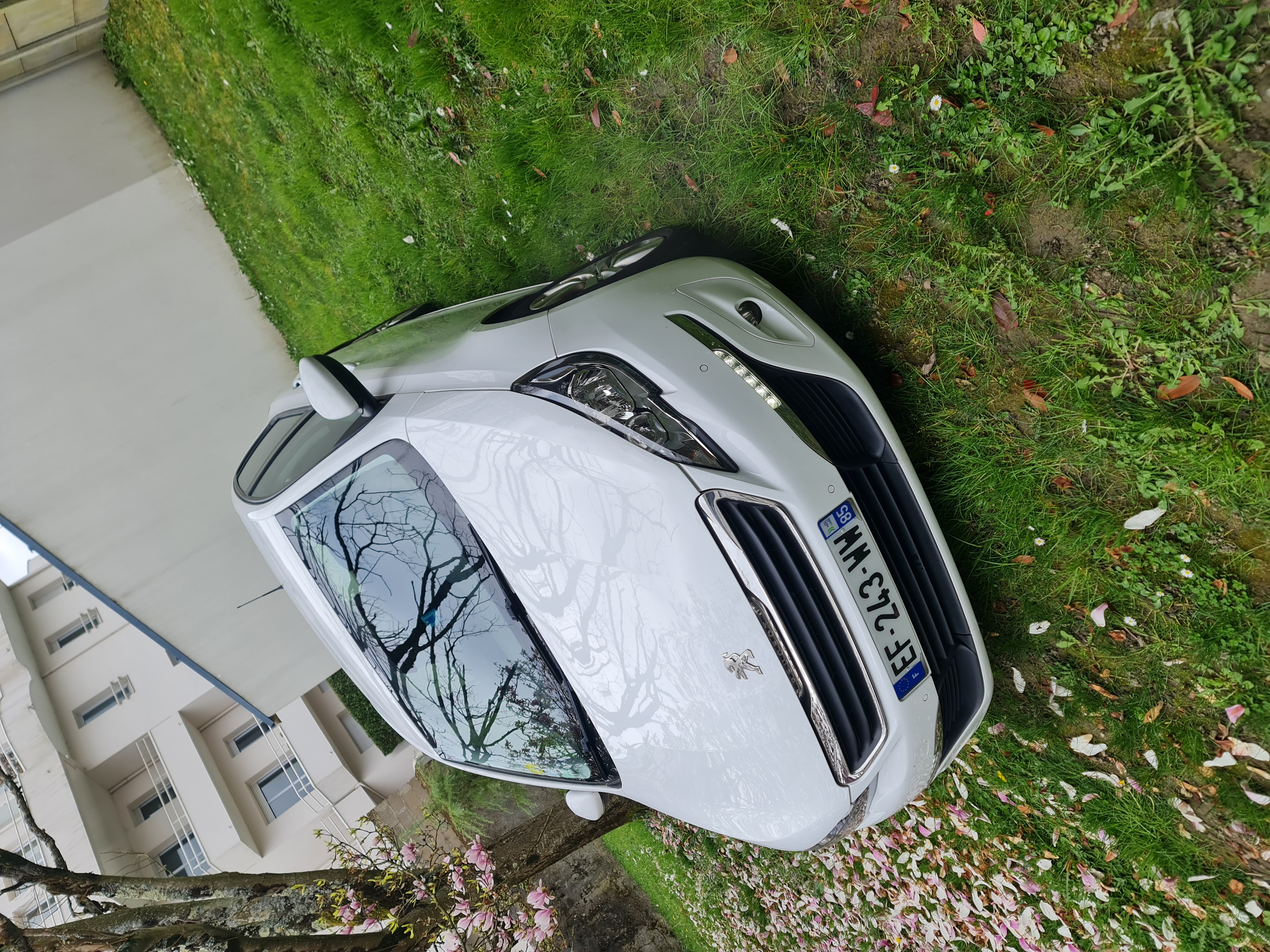 Peugeot 308 II (2) 1.6 BLUEHDI 120 EURO6 S&amp;S ACTIVE BUSINESS