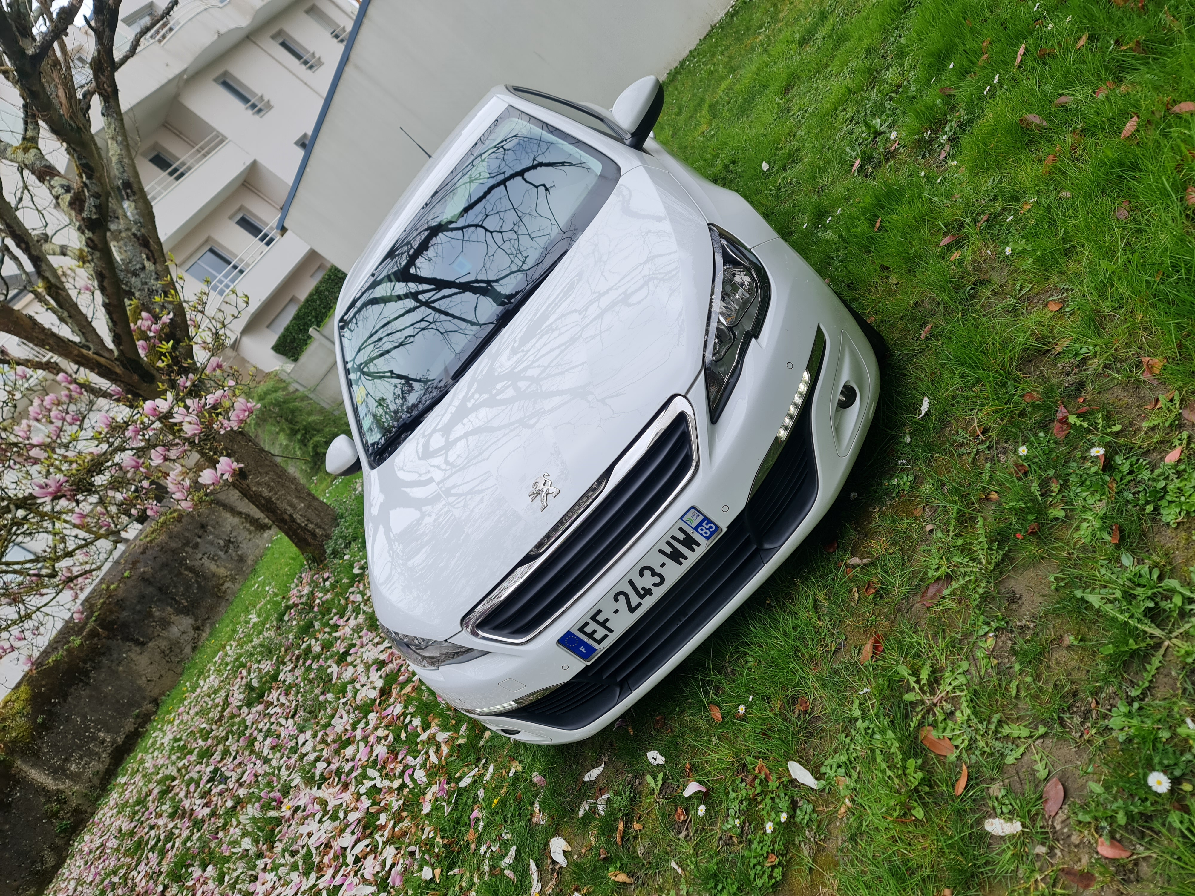 Peugeot 308 II (2) 1.6 BLUEHDI 120 EURO6 S&amp;S ACTIVE BUSINESS