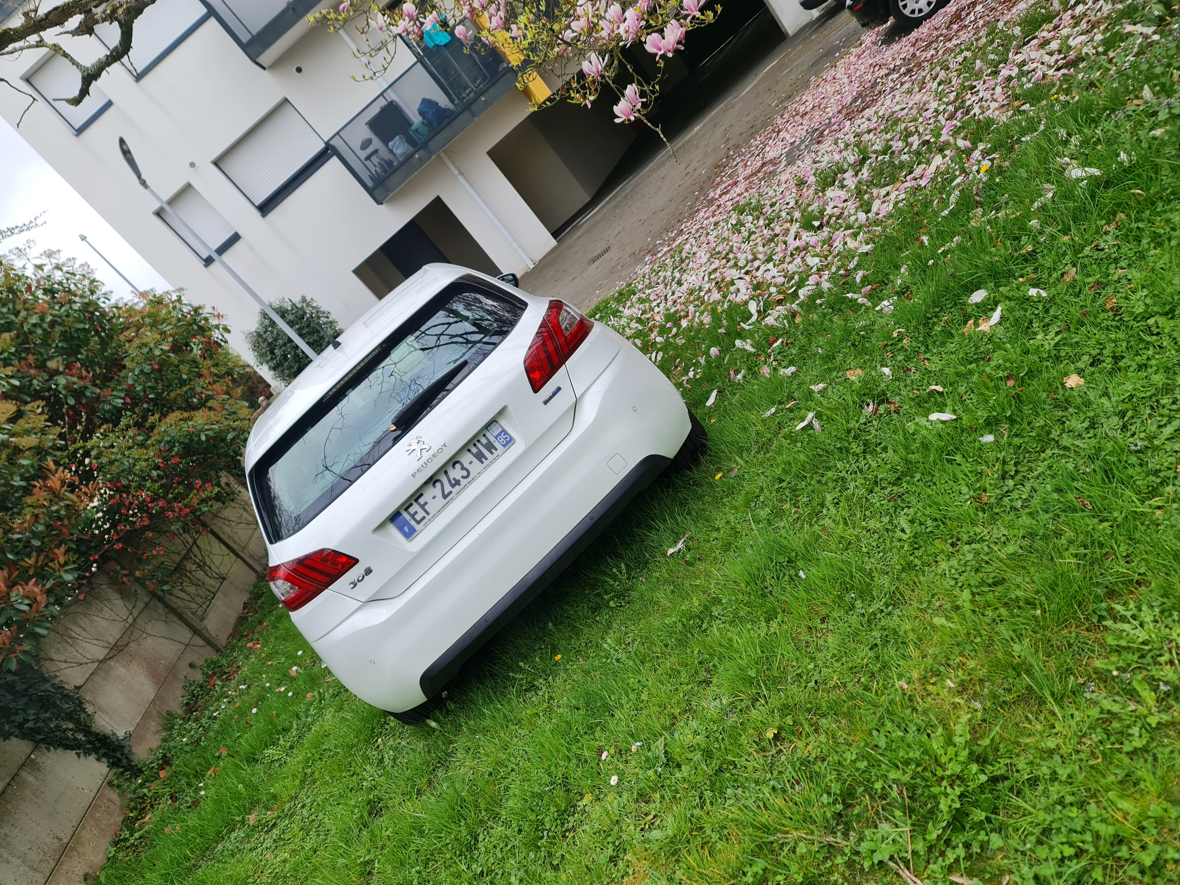 Peugeot 308 II (2) 1.6 BLUEHDI 120 EURO6 S&amp;S ACTIVE BUSINESS
