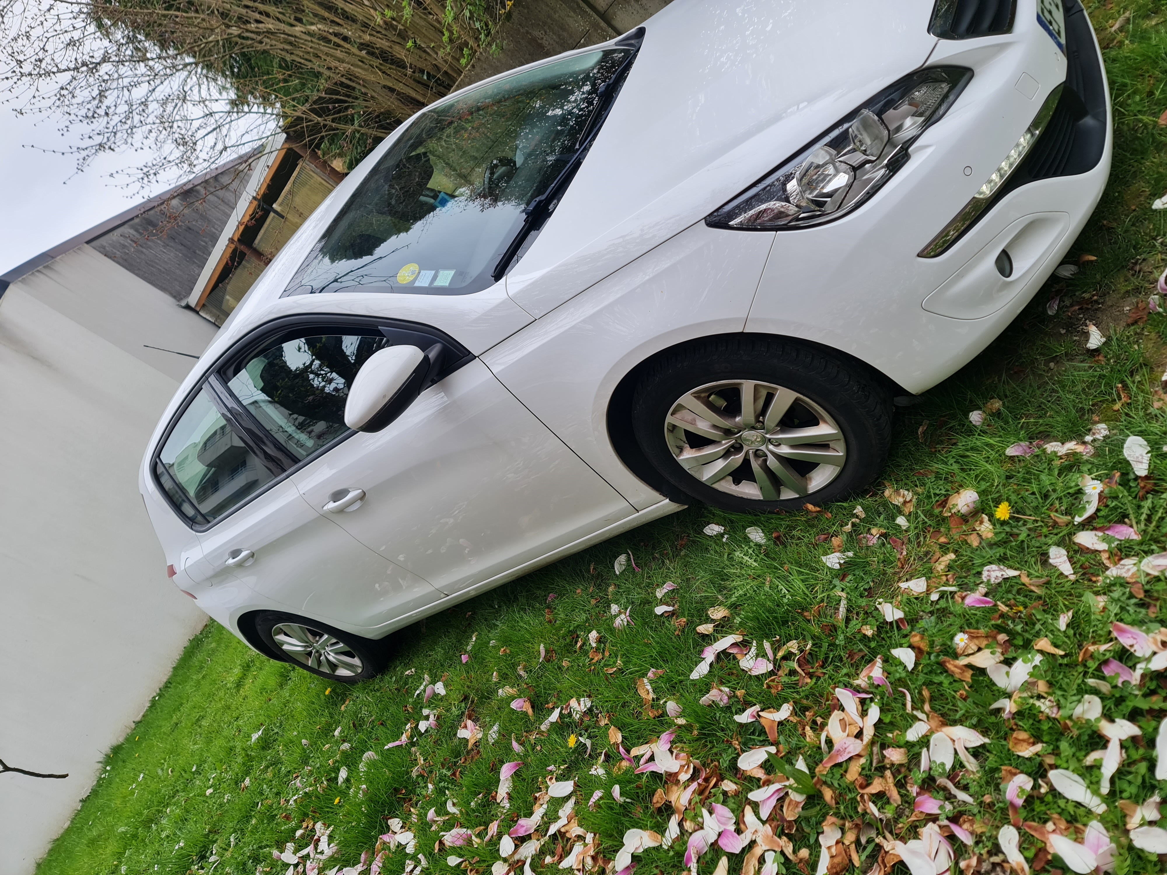 Peugeot 308 II (2) 1.6 BLUEHDI 120 EURO6 S&amp;S ACTIVE BUSINESS