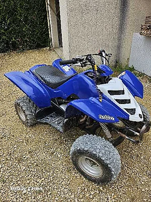 YAMAHA RAPTOR YFM R