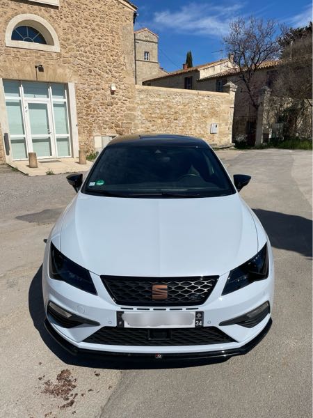Seat Leon III (2) 2.0 TSI 290 CUPRA DSG7