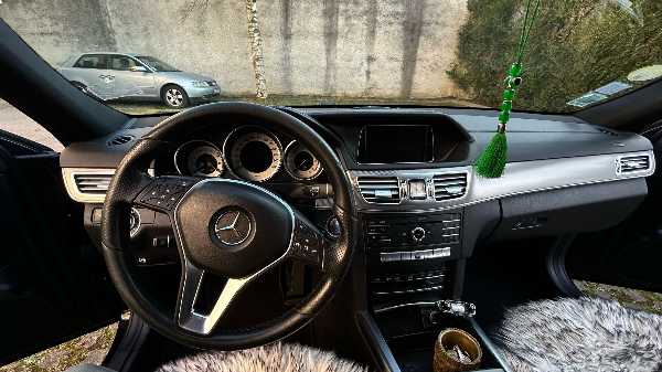 Mercedes-Benz Classe E IV (2) 220 BLUETEC BUSINESS EXECUTIVE 9G-TRONIC