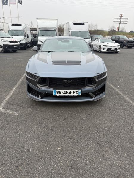 Ford Mustang mustang dark horse v8