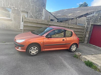 Peugeot 206 Peugeot 206
