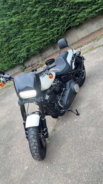 HARLEY-DAVIDSON SOFTAIL FAT BOB NOIR