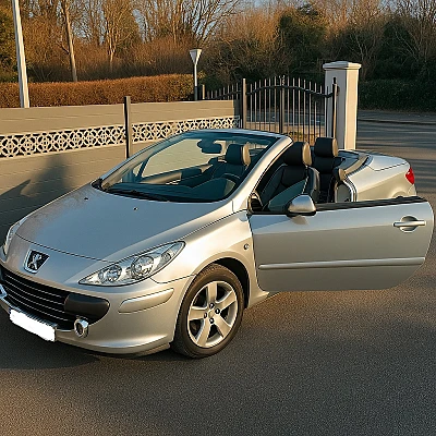 Peugeot 307 (2) CC 1.6 16V SPORT