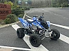 YAMAHA YFM R RAPTOR thumbnail