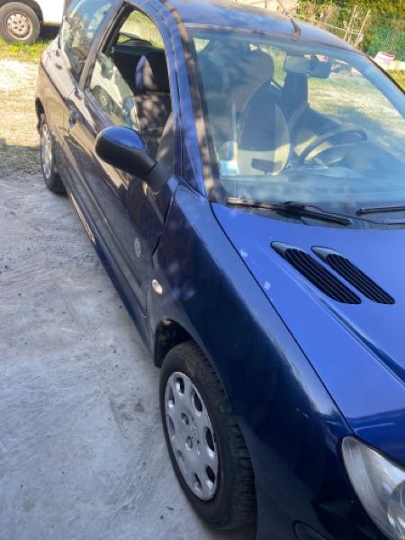 Peugeot 206 Peugeot 206 1.1 X LINE Bonne État