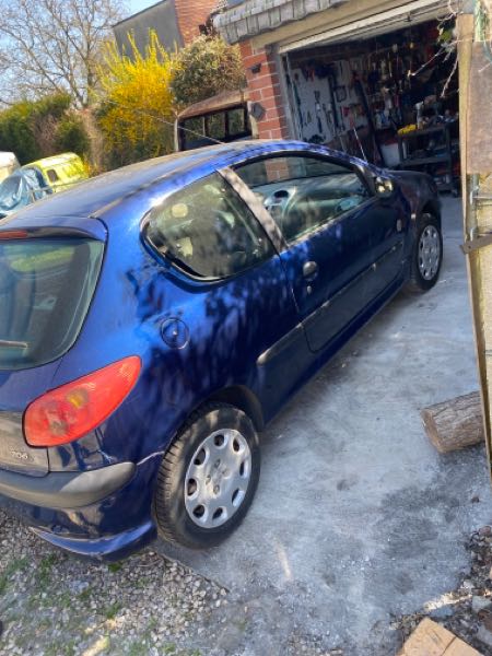 Peugeot 206 Peugeot 206 1.1 X LINE Bonne État