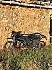 MASAI RIDER thumbnail
