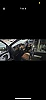 Volkswagen Polo V 1.2 TDI 75 CR FAP BLUEMOTION TECHNOLOGY 5P thumbnail