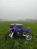 SUZUKI 125 RM thumbnail
