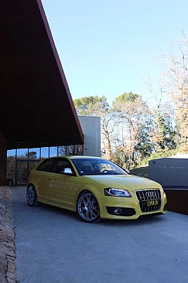 Audi S3 II (2) 2.0 TFSI 265 QUATTRO S TRONIC