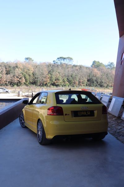 Audi S3 II (2) 2.0 TFSI 265 QUATTRO S TRONIC