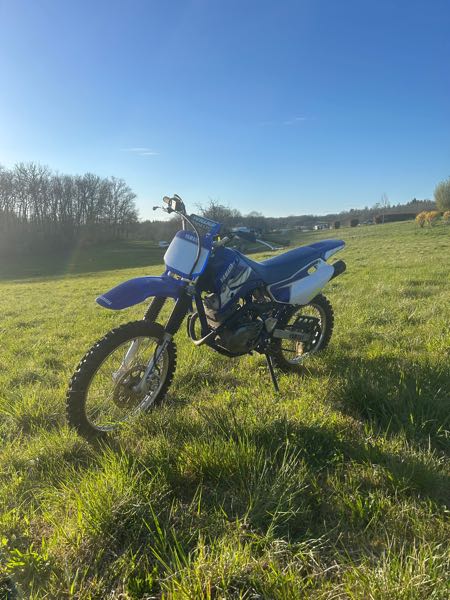 YAMAHA TT-R