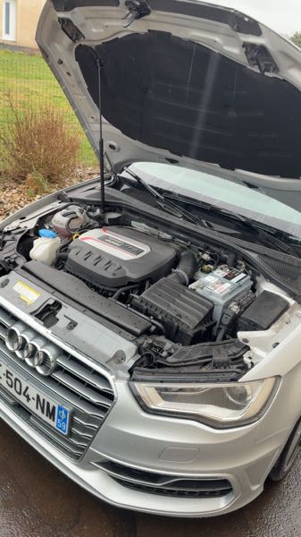 Audi S3 III 2.0 TFSI 300 S TRONIC