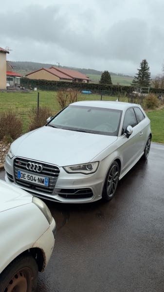 Audi S3 III 2.0 TFSI 300 S TRONIC