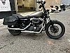 HARLEY-DAVIDSON SPORTSTER N XL NIGHTSTER thumbnail
