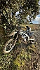 SUZUKI RM-Z thumbnail