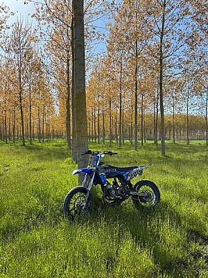 SHERCO SM