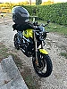 ZONTES SCRAMBLER thumbnail