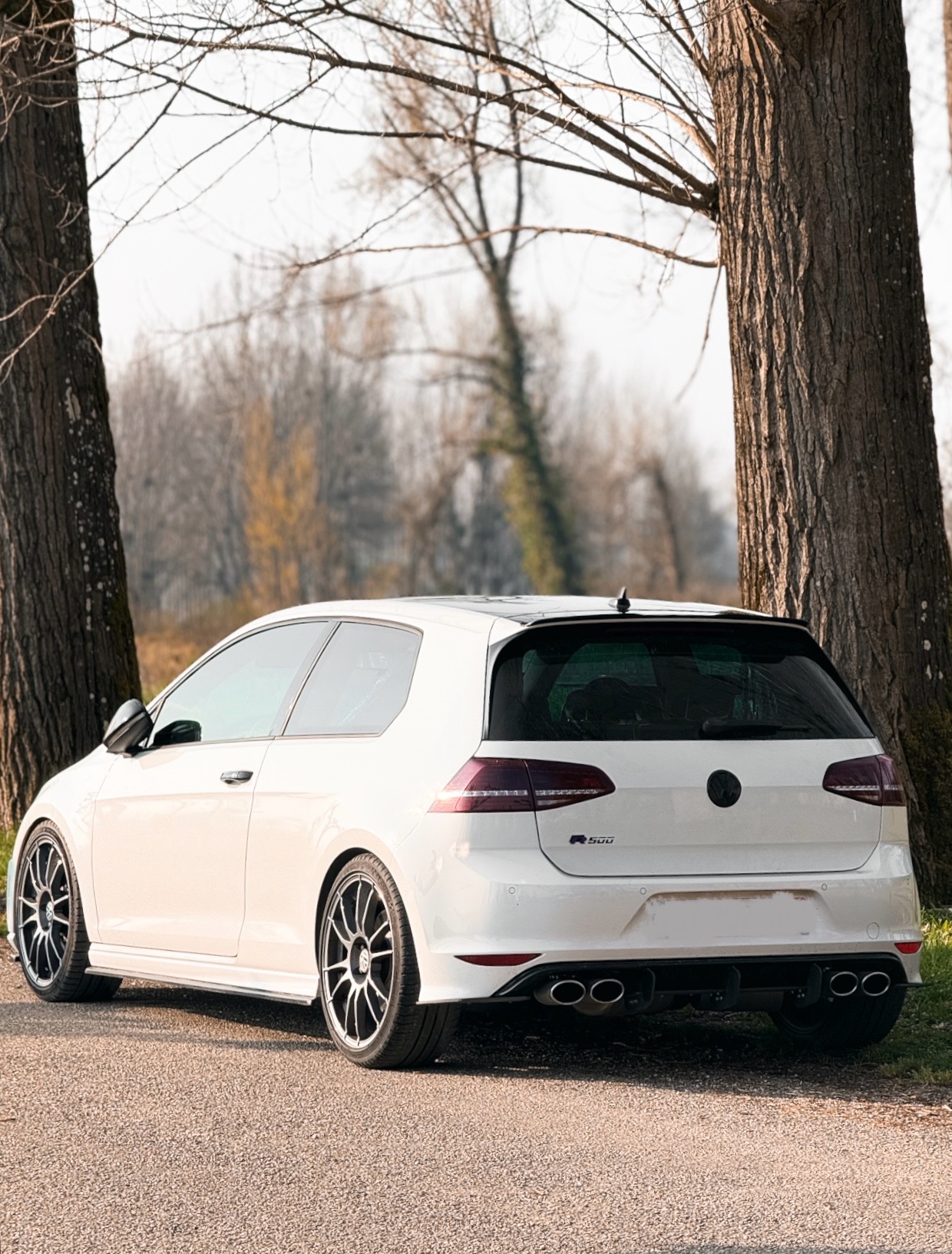 Volkswagen Golf VII 2.0 TSI 300 BLUEMOTION TECHNOLOGY R 4MOTION DSG6 3P