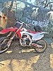 HONDA CRF thumbnail