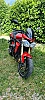 TRIUMPH STREET TRIPLE S ROUGE thumbnail
