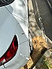 Renault Clio IV (2) 1.5 DCI 90 INTENS thumbnail