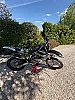 KAWASAKI KX thumbnail