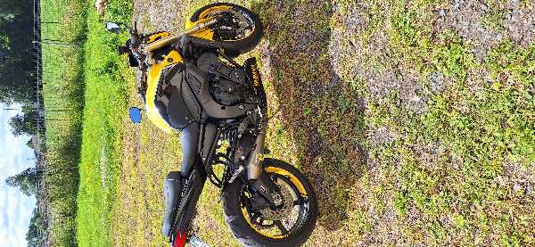 YAMAHA FZ1
