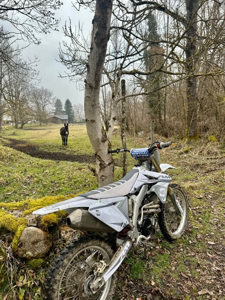 SUZUKI RM-Z