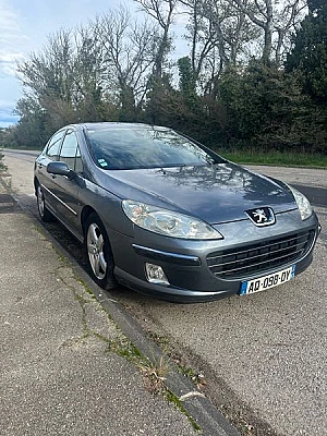 Peugeot 407 2.0 HDI 136 FAP FELINE BVA