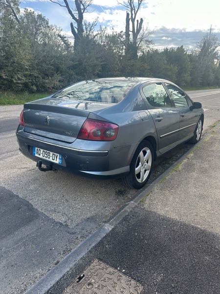 Peugeot 407 2.0 HDI 136 FAP FELINE BVA