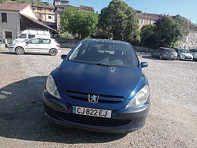 Peugeot 307 2.0 HDI 90 XR 5P