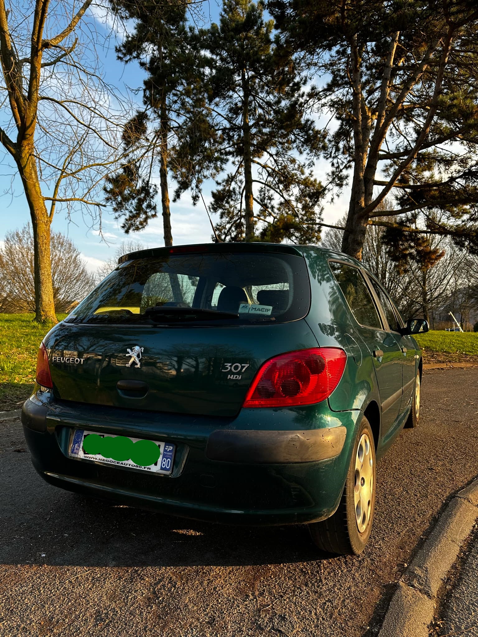 Peugeot 307 2.0 HDI 90 XR 5P